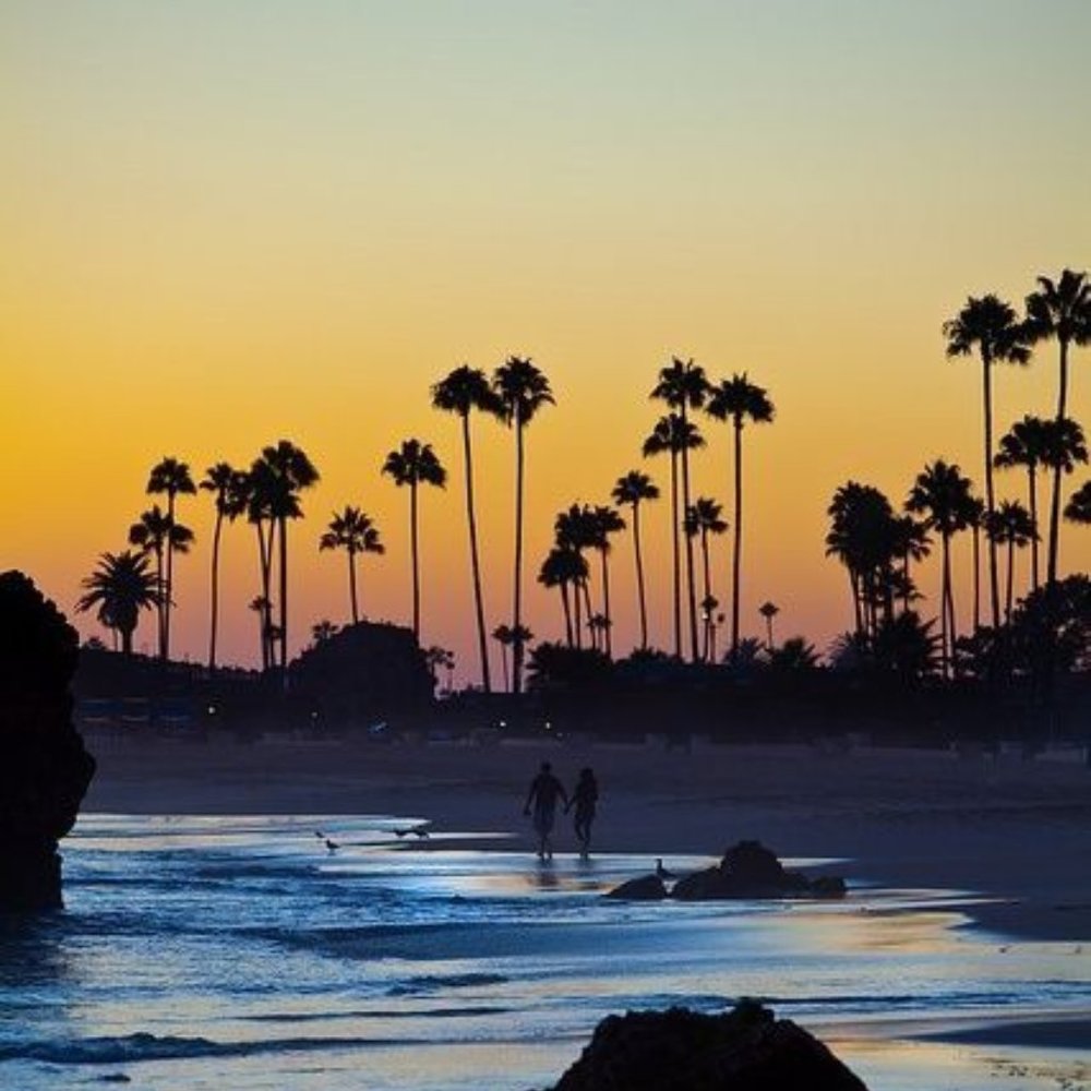 Meet your Posher, Rosie